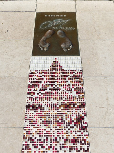 队出战的入 队出战的入