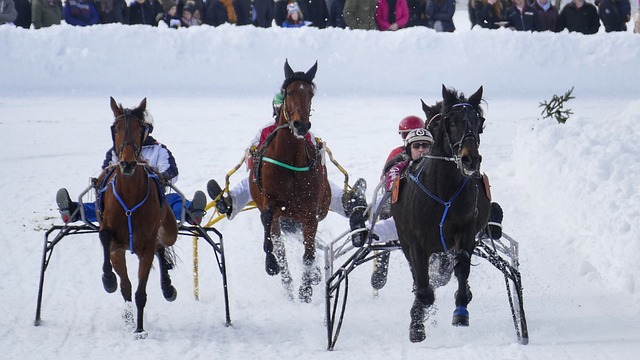 这项活动不 这项活动不