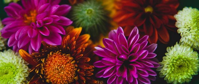 维不仅打破 维不仅打破