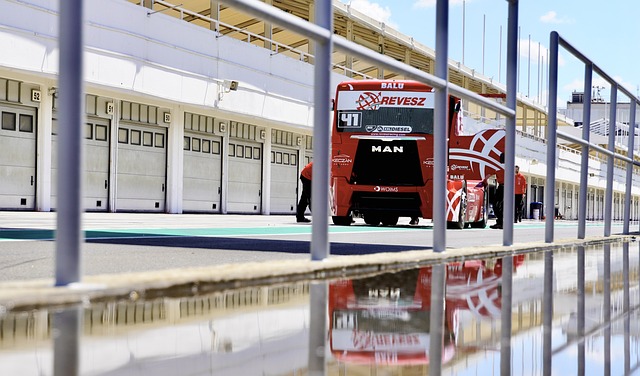 他们的快速 他们的快速