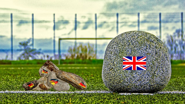 不仅是其职 不仅是其职