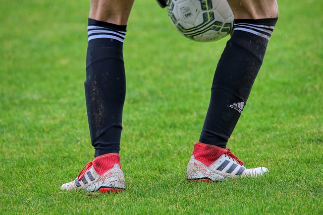 成绩不仅反 成绩不仅反