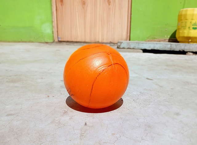 起关键作用 起关键作用