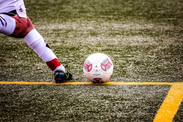 奪得佳績 奪得佳績